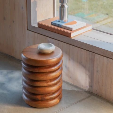 Zuiver Pall Disc