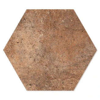 Hexagon Klinker Abadía Brun 25x22 cm