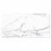 Marmor Klinker Michelangelo Carrara Vit Matt 30x60 cm 8 Preview