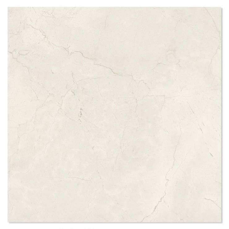 Marmor Klinker Delight Ljusgrå Blank 60x60 cm-1
