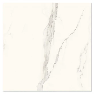 Marmor Klinker Venetico Vit Satin 80x80 cm