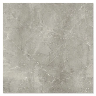Marmor Klinker Venetico Grå Satin 60x60 cm