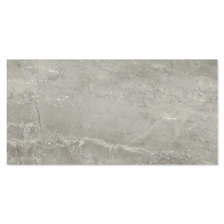 Marmor Klinker Venetico Grå Polerad 30x60 cm
