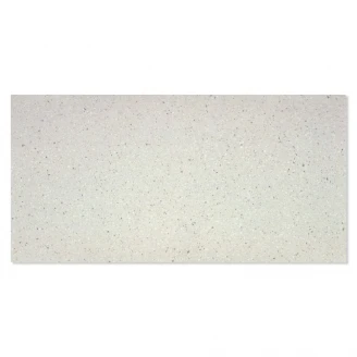 Klinker Guss-Terrazzo Ljusgrå Polerad 60x120 cm