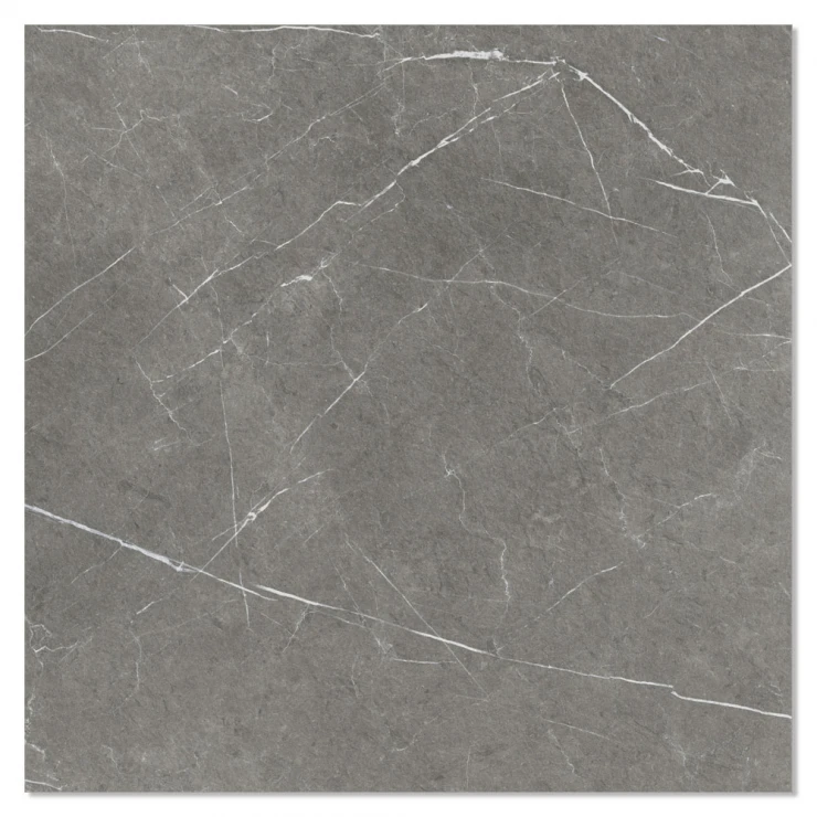 Marmor Klinker Ethereal Mörkgrå Polerad 120x120 cm-1