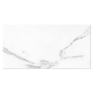 Marmor Klinker Michelangelo Carrara Vit Matt Rak 30x60 cm