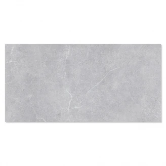 Marmor Klinker Artistry Silver Matt 30x60 cm-2