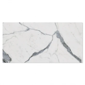 Marmor Klinker Paradigm White Matt 30x60 cm-2