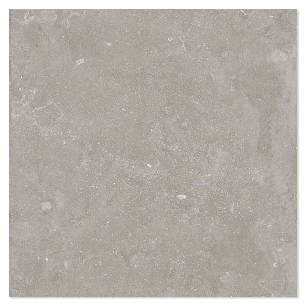 Ariana Klinker Memento Bruges Grey Matt 120x120 cm