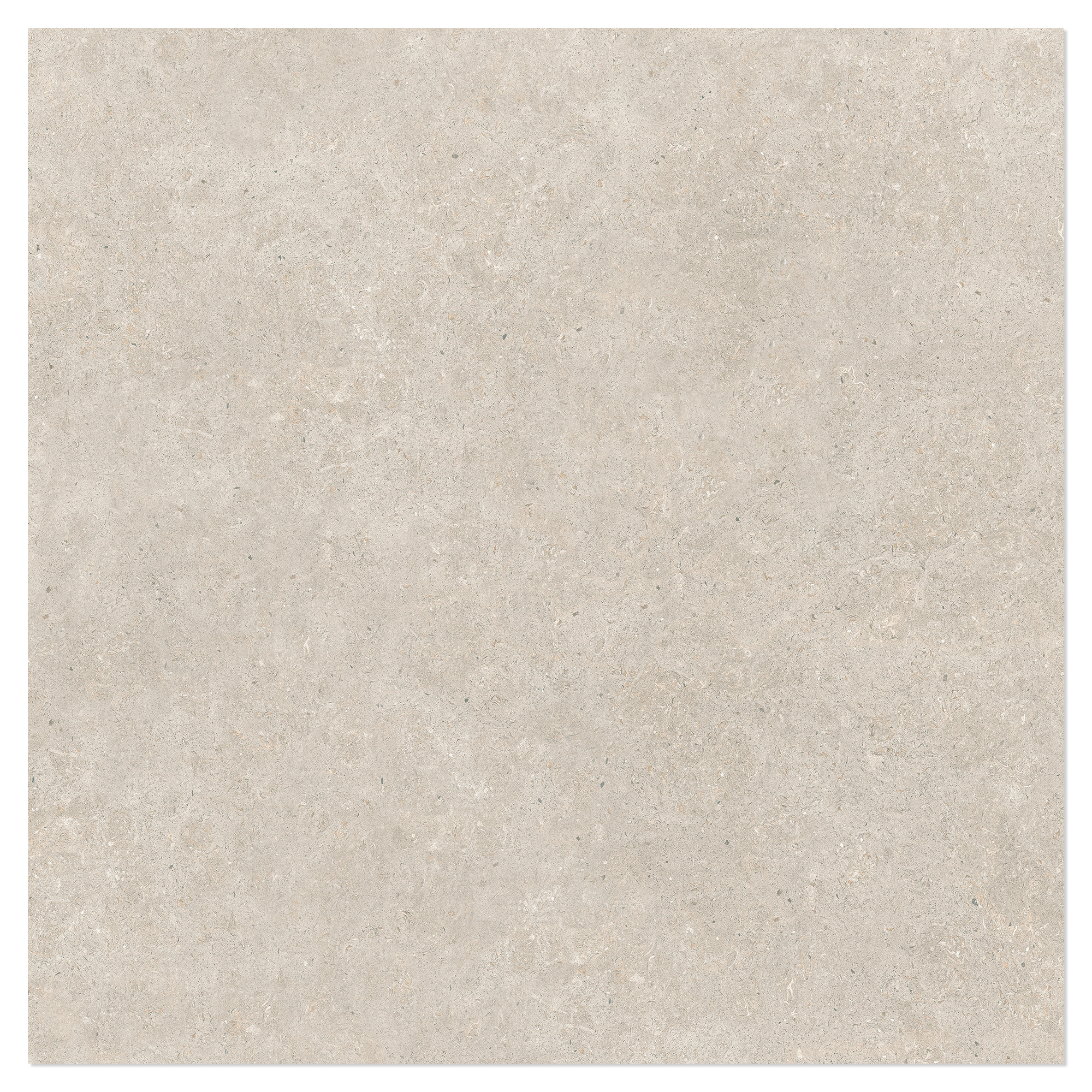 Klinker Kalksten Nord Beige Polerad 100x100 cm