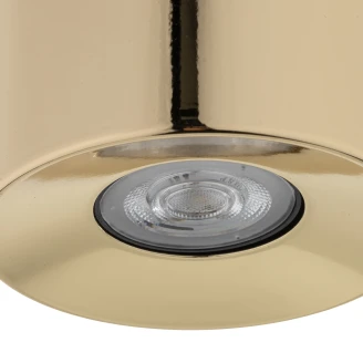 Spotlight <strong>Raya Ny</strong>  Guld Blank S
