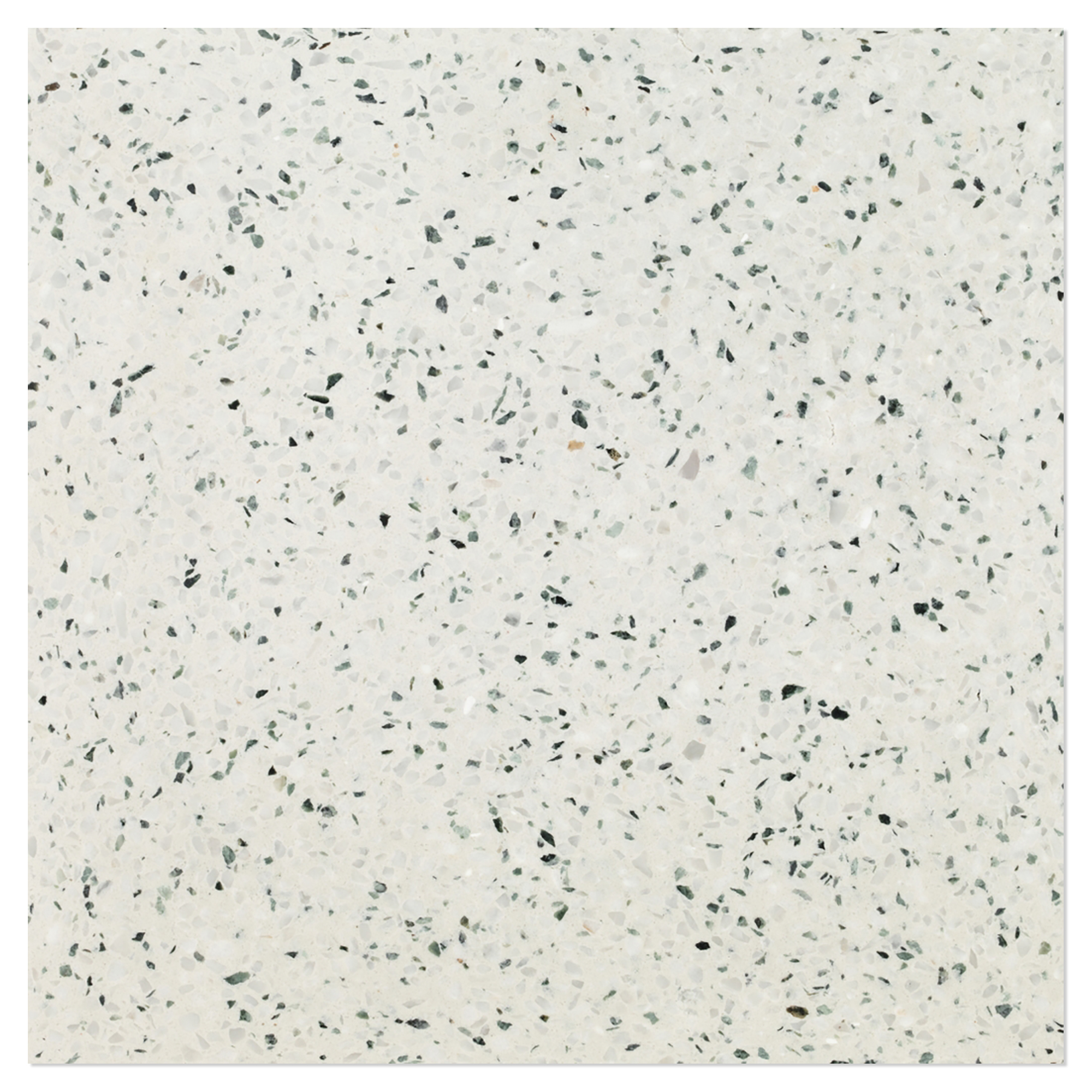 Terrazzo Graniglia Prezzemolo Polerad 20x20 cm