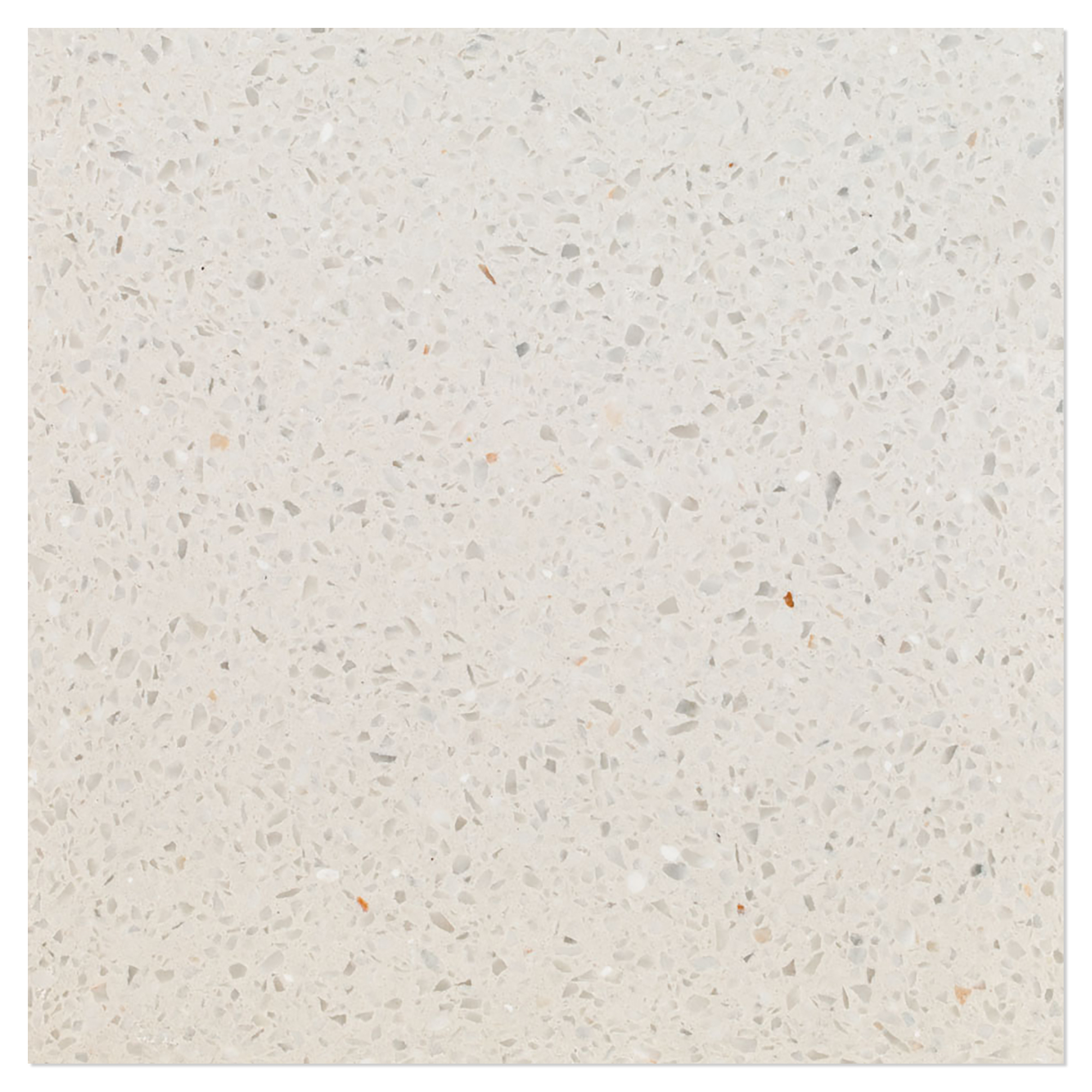 Terrazzo Graniglia Bianco Matt 60x60 cm