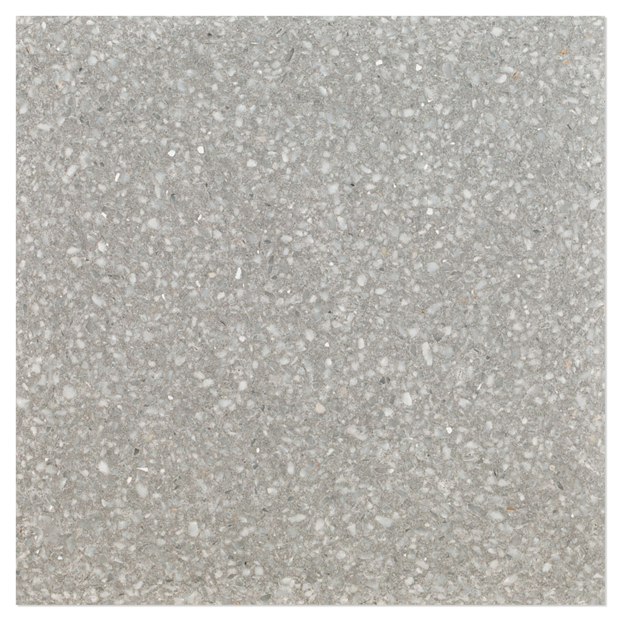 Terrazzo Graniglia Grigio Perla Matt 20x20 cm