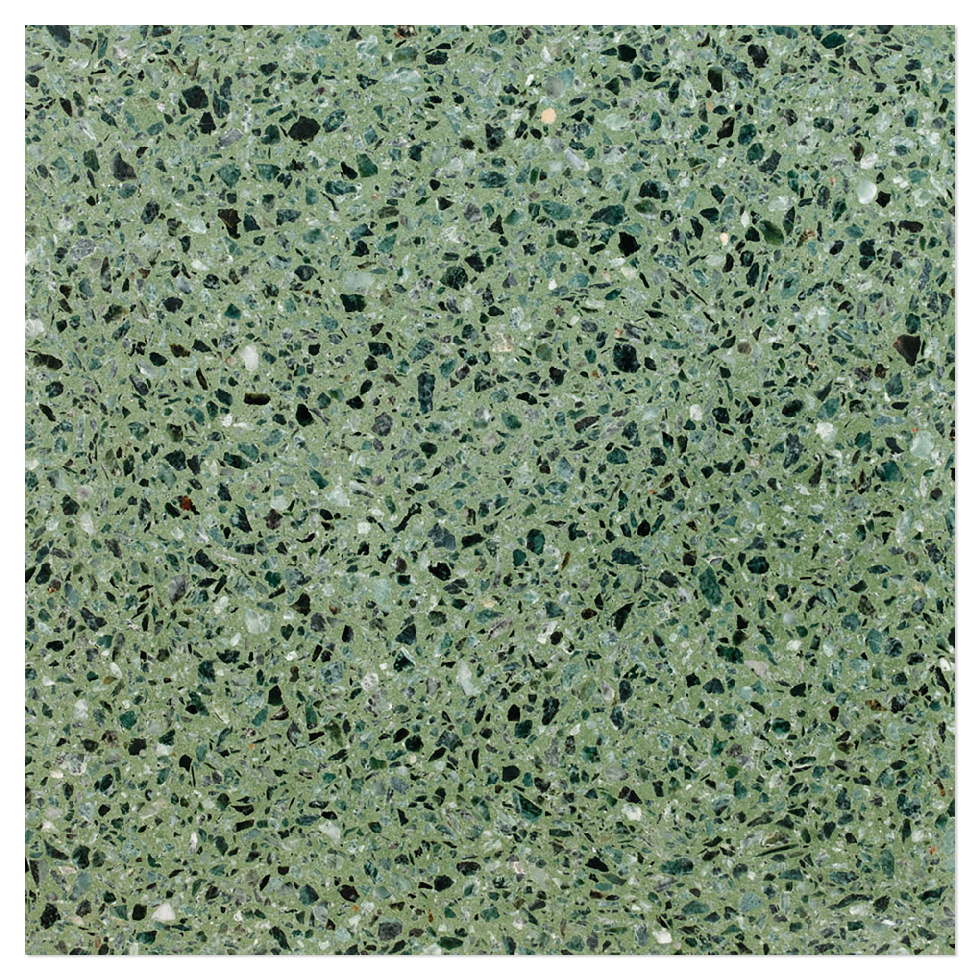 Terrazzo Graniglia Verde Matt 20x20 cm