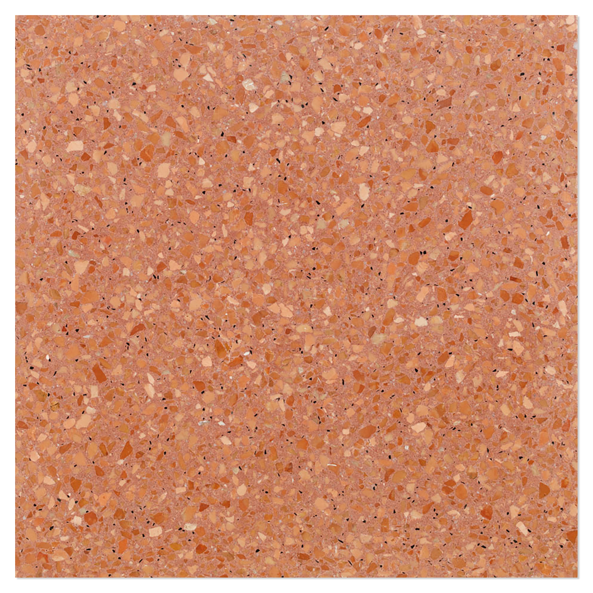 Terrazzo Graniglia Rosa Antico Polerad 20x20 cm