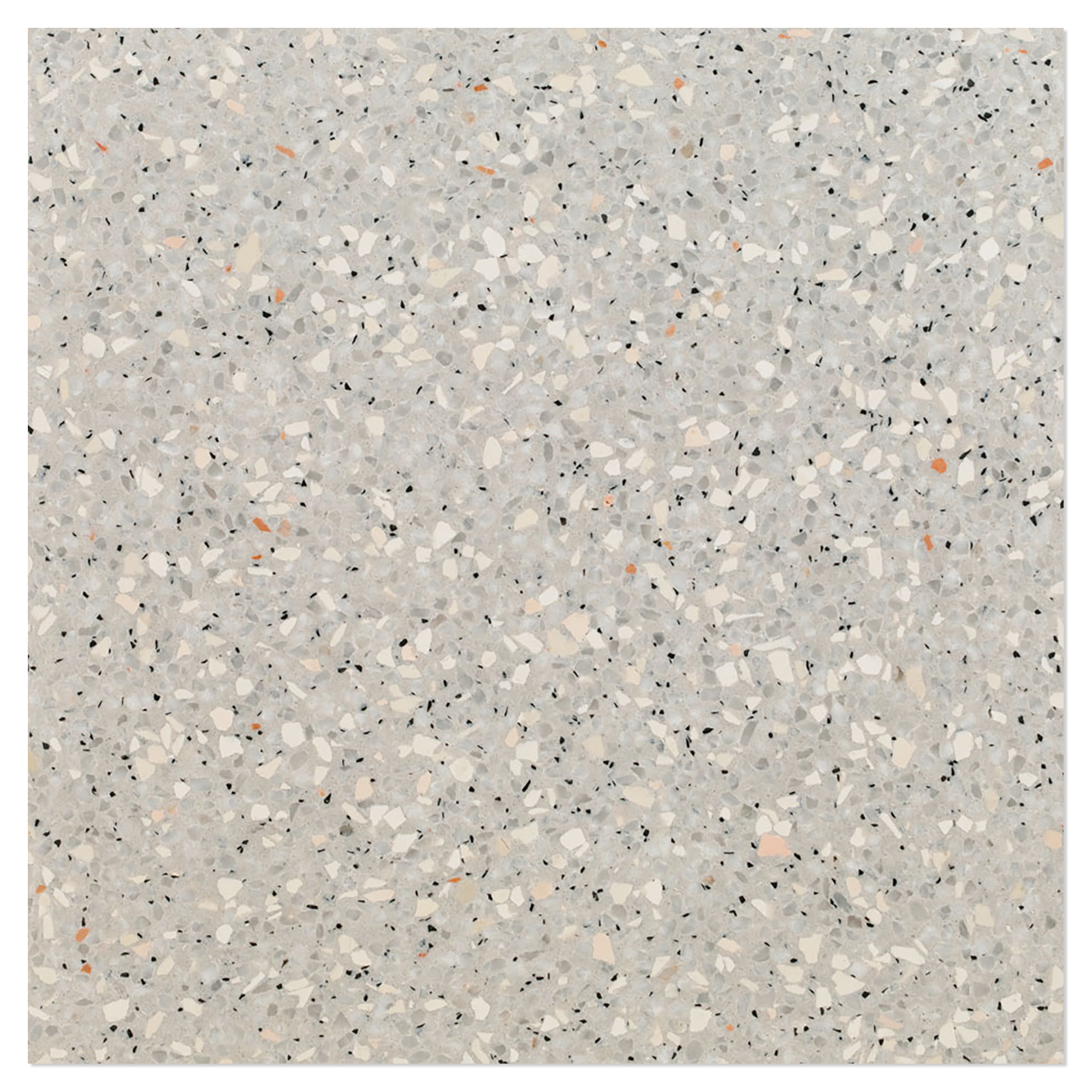 Terrazzo Graniglia Bianco Arabescato Polerad 20x20 cm