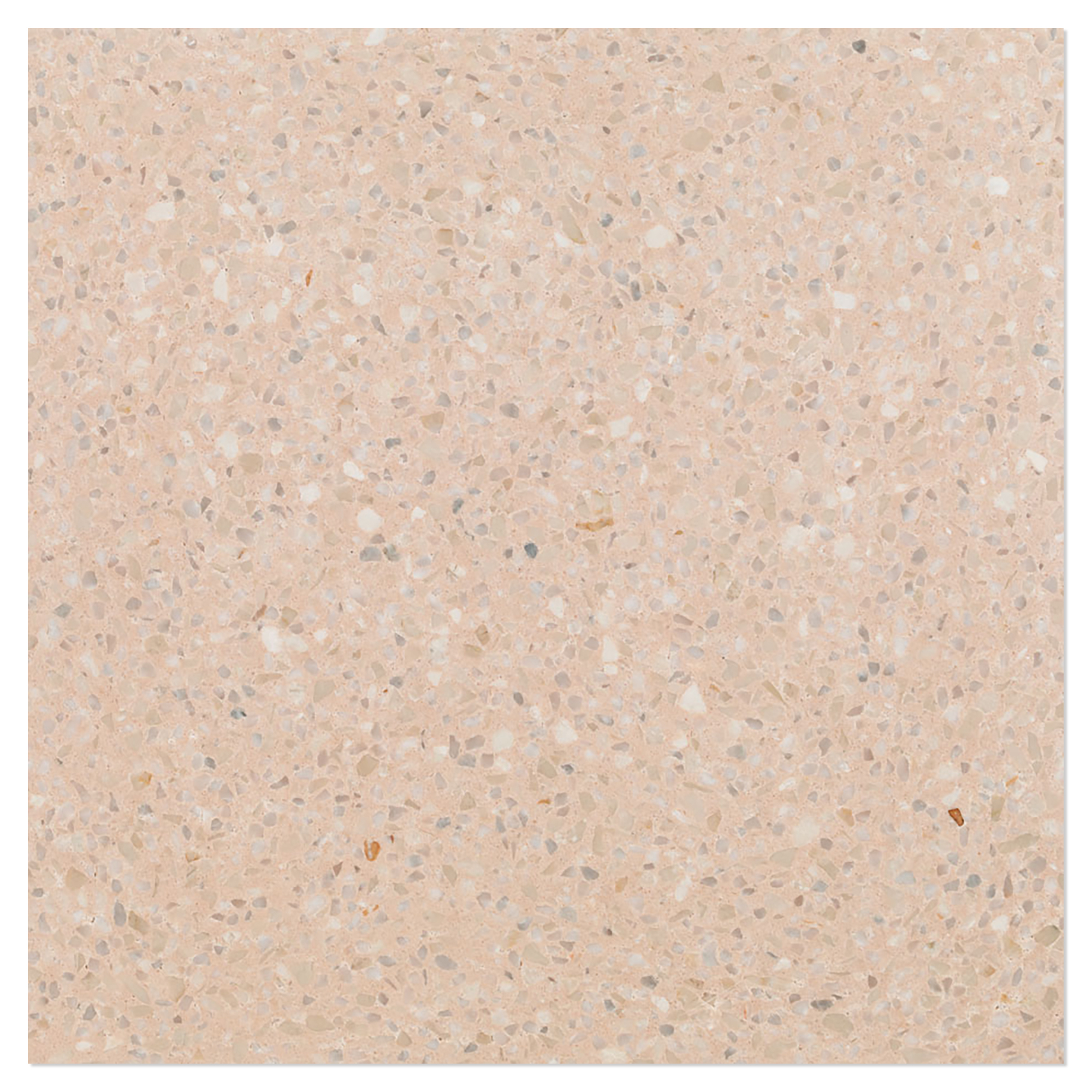 Terrazzo Graniglia Avorio Matt 20x20 cm