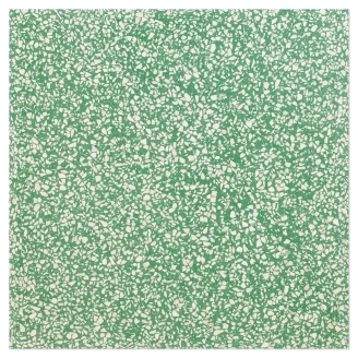 Terrazzo <strong>Graniglia</strong>  Verde Chiaro Matt 20x20 cm