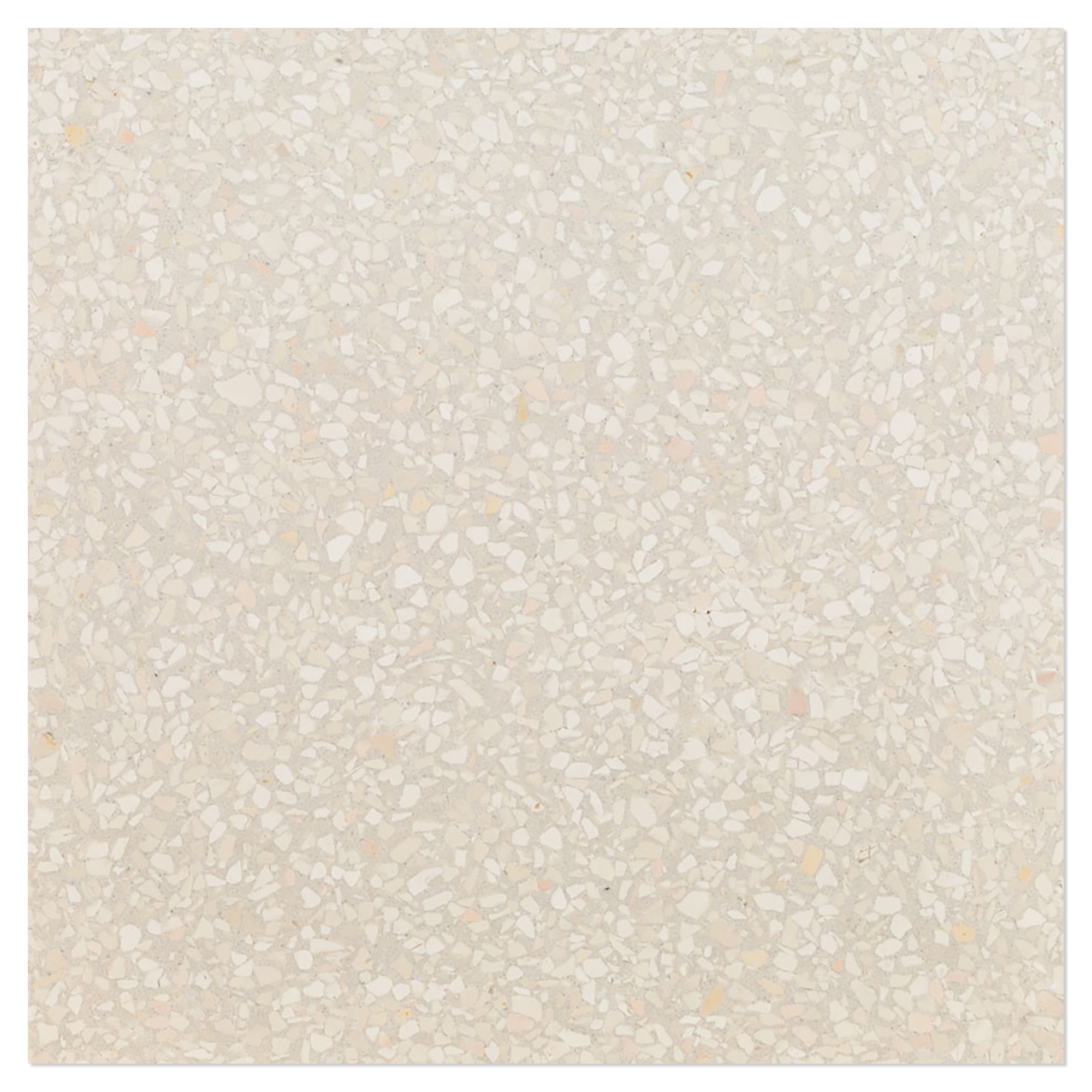 Terrazzo Graniglia Avorio Chiaro Matt 20x20 cm