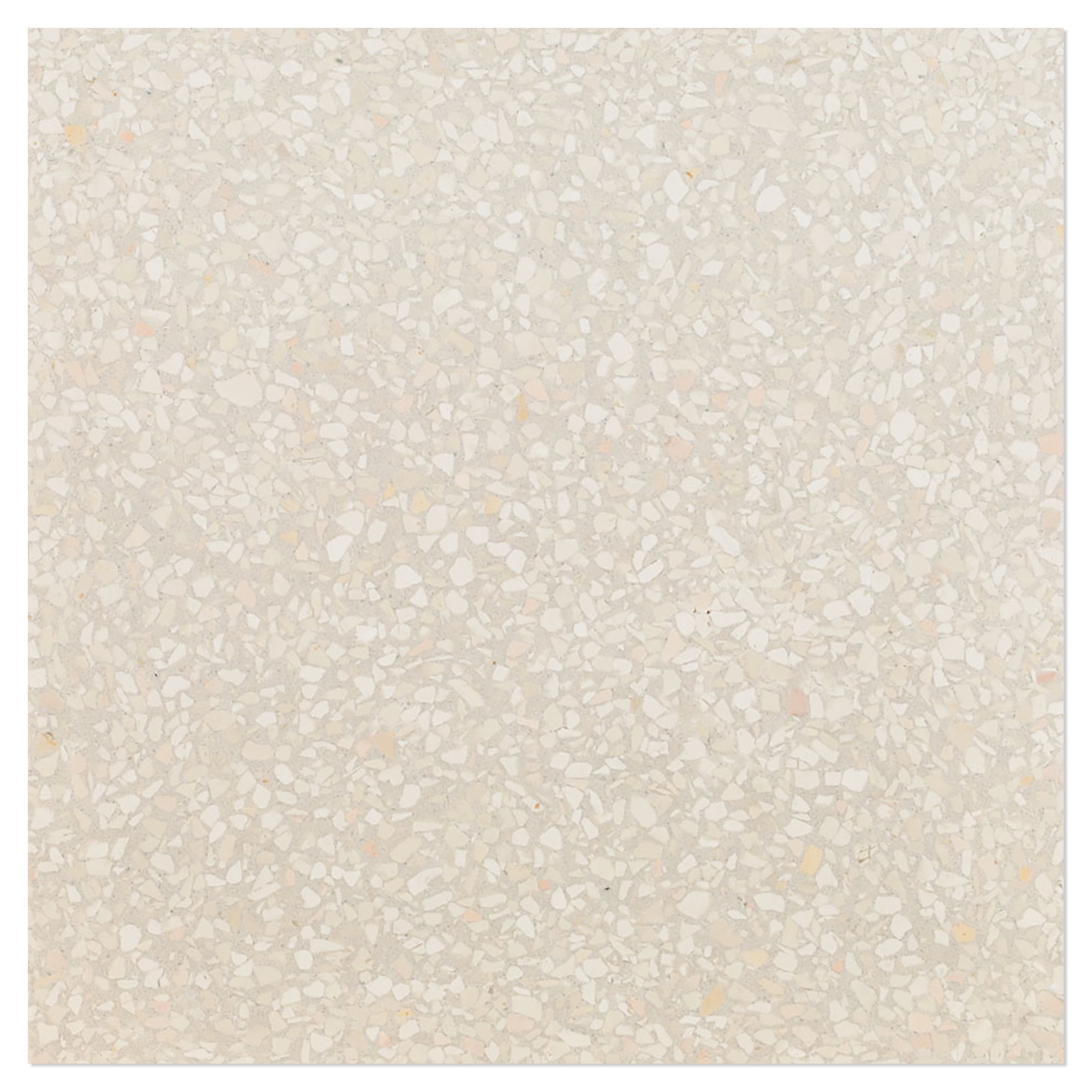 Terrazzo Graniglia Avorio Chiaro Polerad 20x20 cm