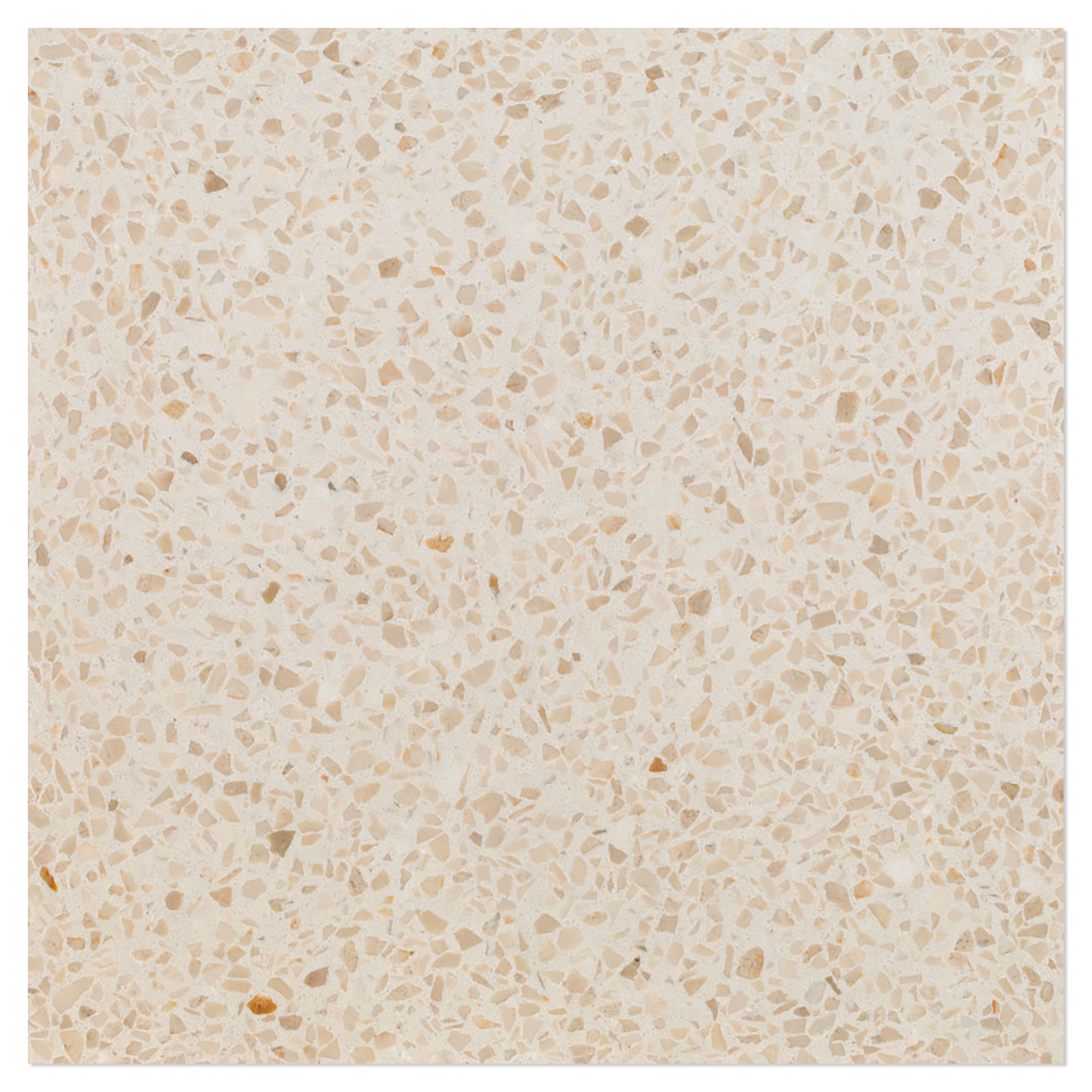 Terrazzo Graniglia Botticino Matt 20x20 cm