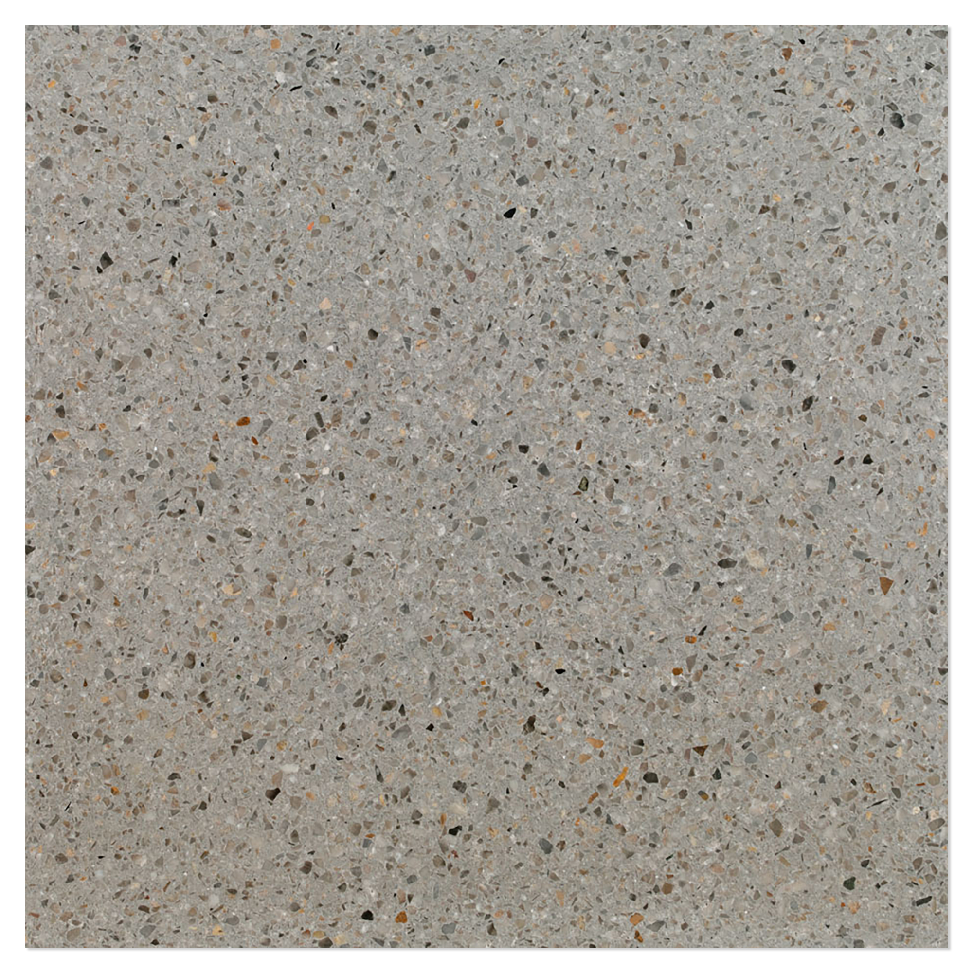 Terrazzo Graniglia Gatto di Galilea Polerad 20x20 cm