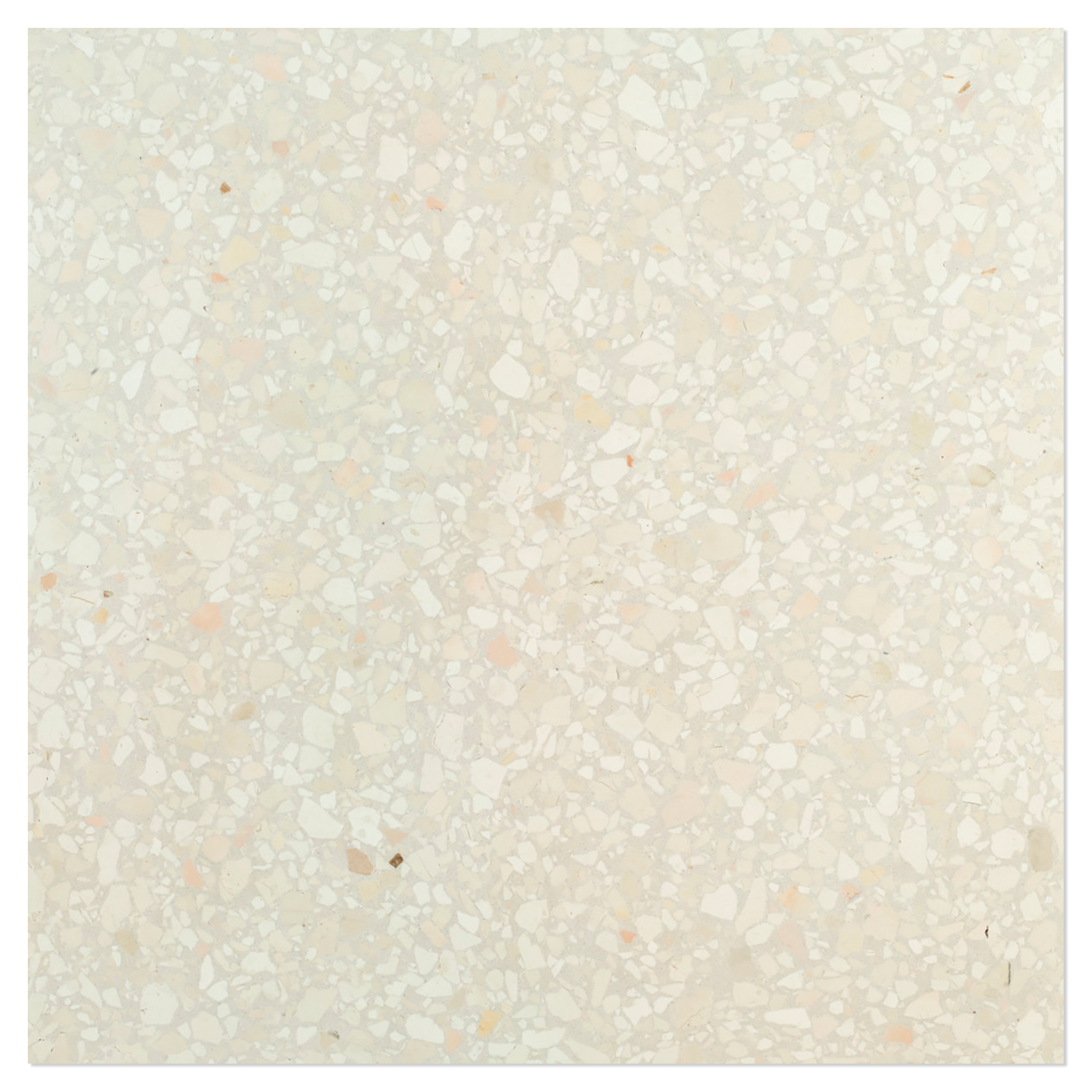 Terrazzo Gra Veneziana Avoriolin Polerad 40x40 cm