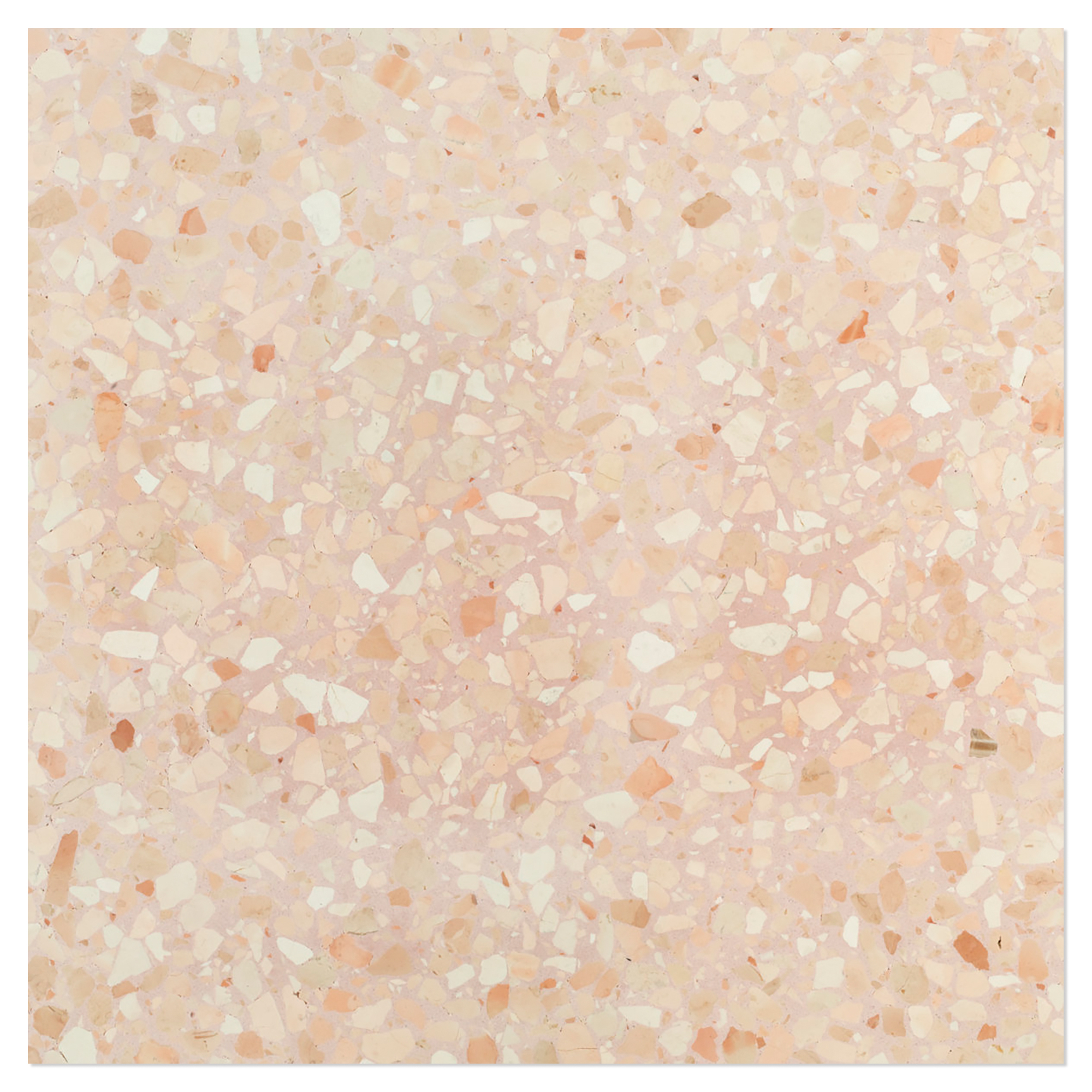 Terrazzo Gra Veneziana Corallo Polerad 40x40 cm