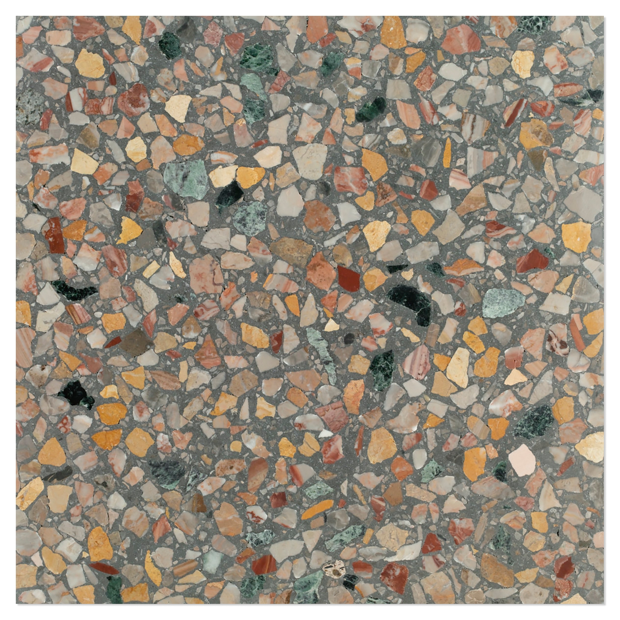 Terrazzo Gra Veneziana Arcobaleno Matt 40x40 cm