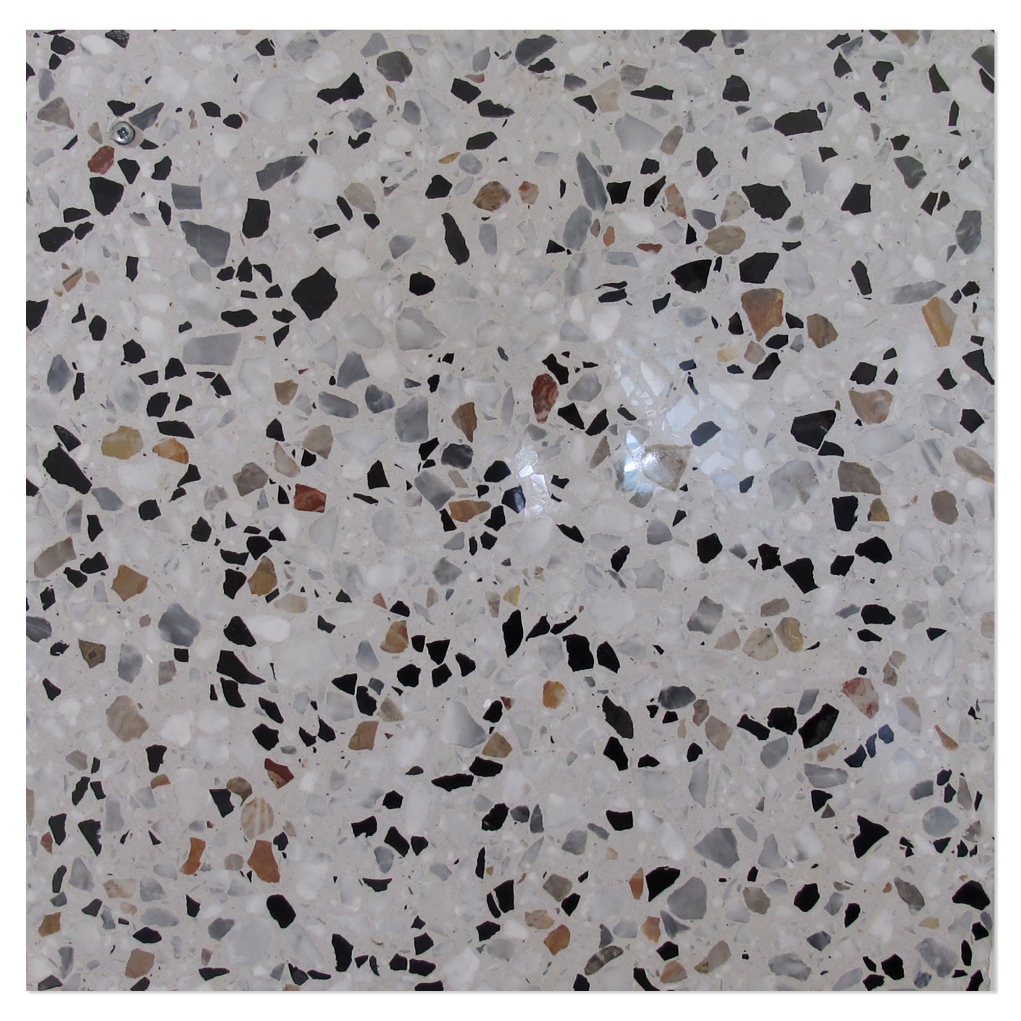 Terrazzo Gra Veneziana Grigio Venato Polerad 40x40 cm