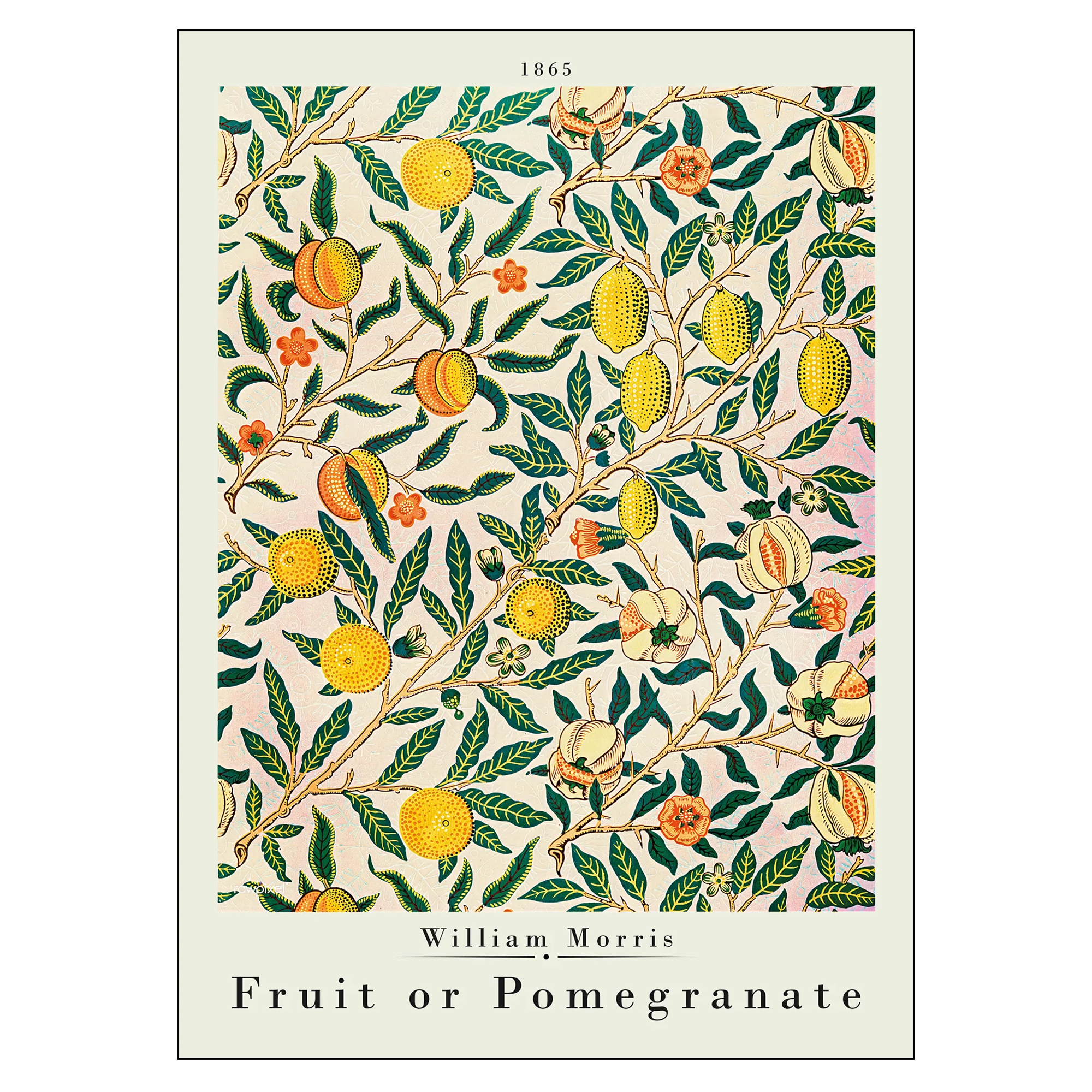 Poster William Morris Pomegranate 40x50 cm