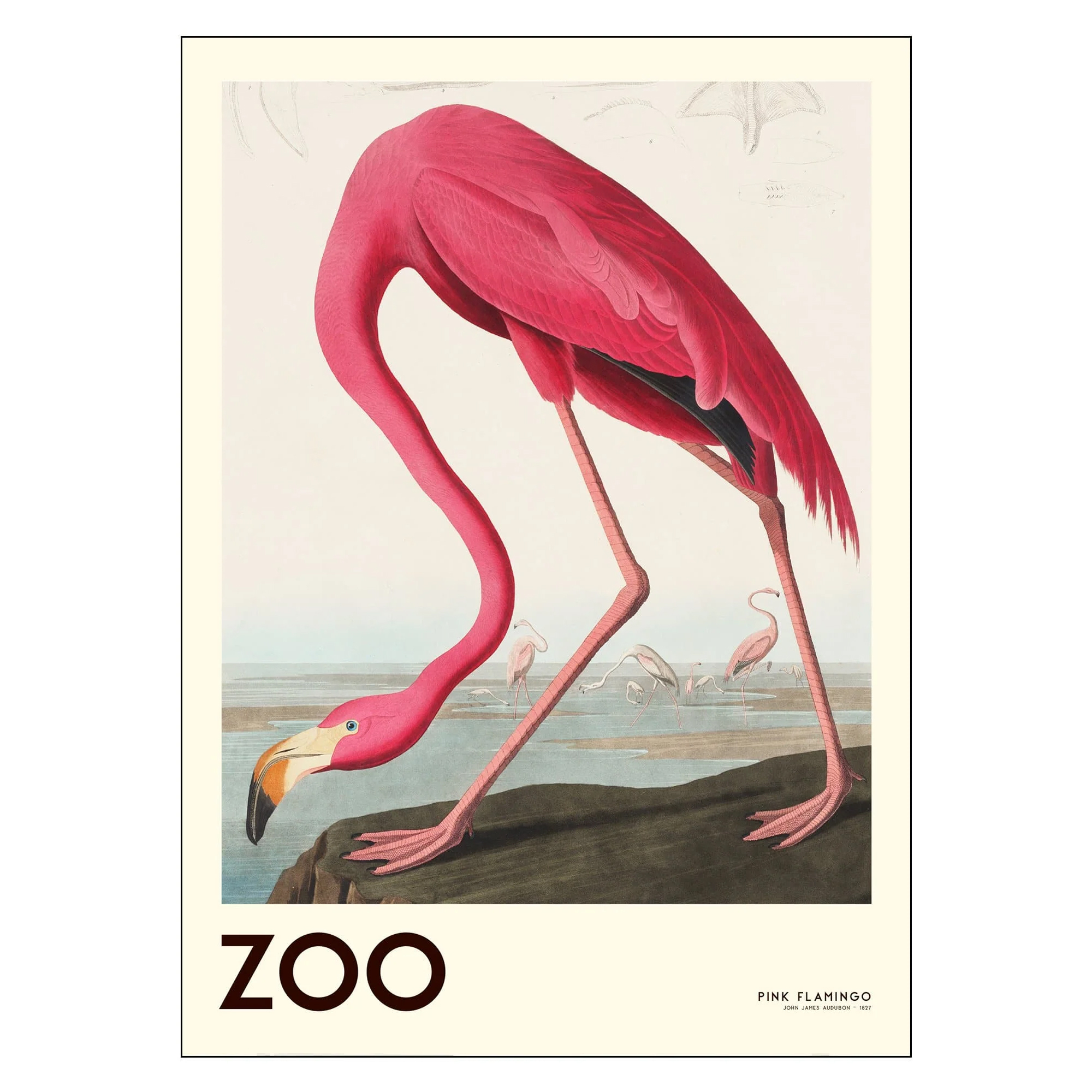 Poster A.P. Atelier the Zoo Collection Pink Flamingo Edt. 001 30x40 cm