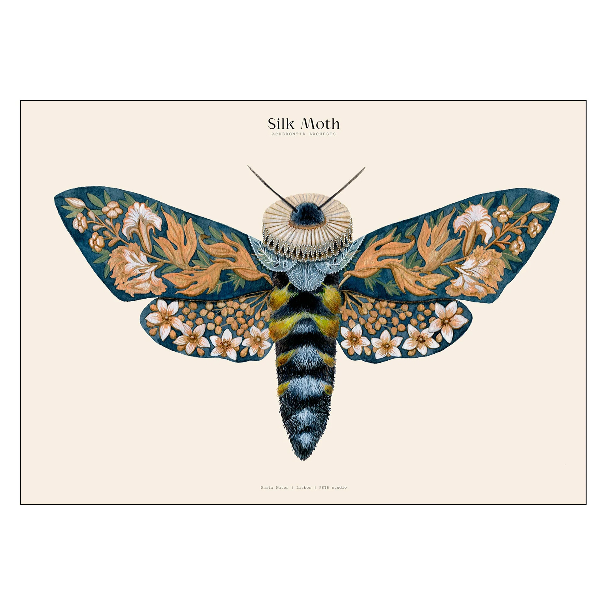 Poster PSTR Studio Matos Silk Moths no. 13 70x100 cm