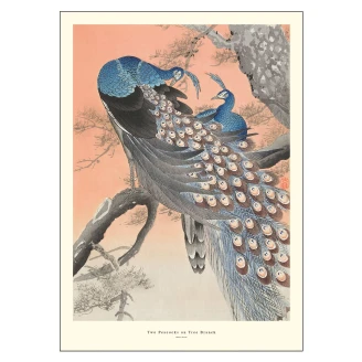 Poster <strong>A.P. Atelier</strong>  Two Peacocks on Tree Branch 30x40 cm