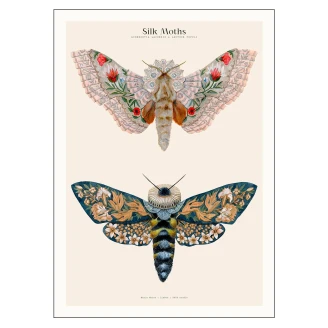 Poster PSTR Studio <strong>Matos</strong>  Silk Moths no. 03 30x40 cm