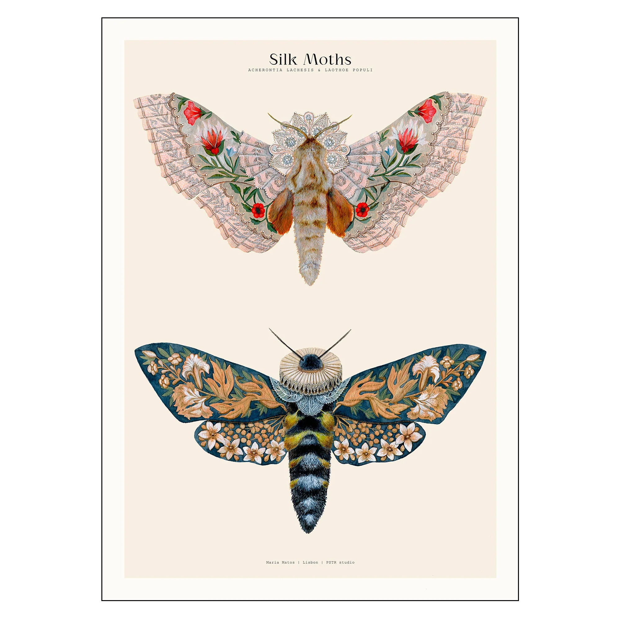 Poster PSTR Studio Matos Silk Moths no. 03 50x70 cm