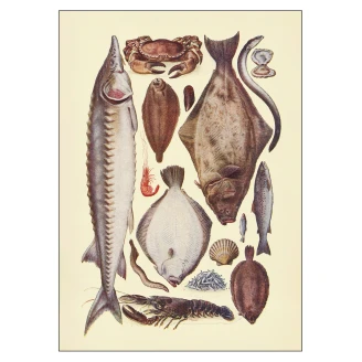 Poster <strong>Mrs. Beeton</strong>  Fish ll 70x100 cm