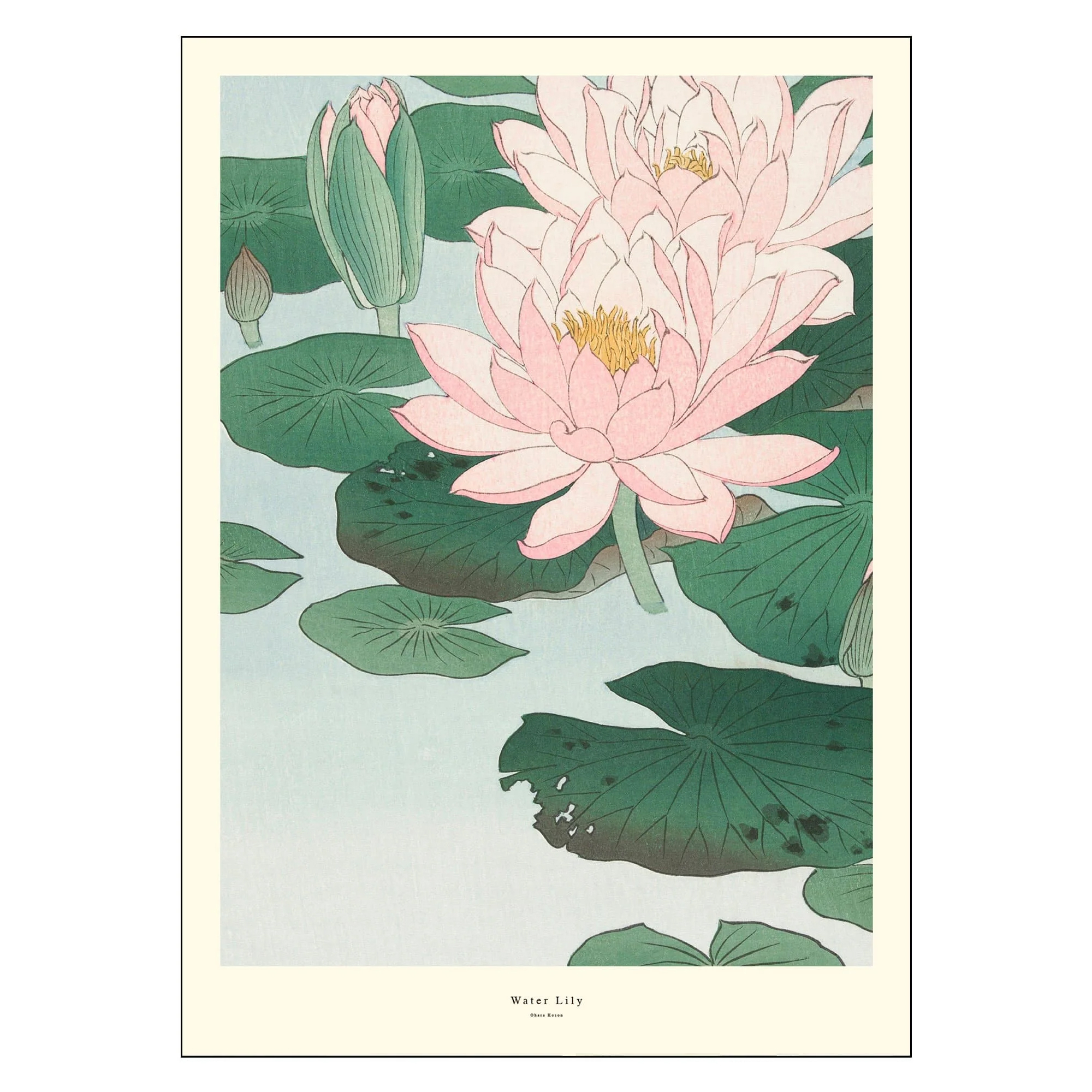 Poster A.P. Atelier Water Lily 30x40 cm