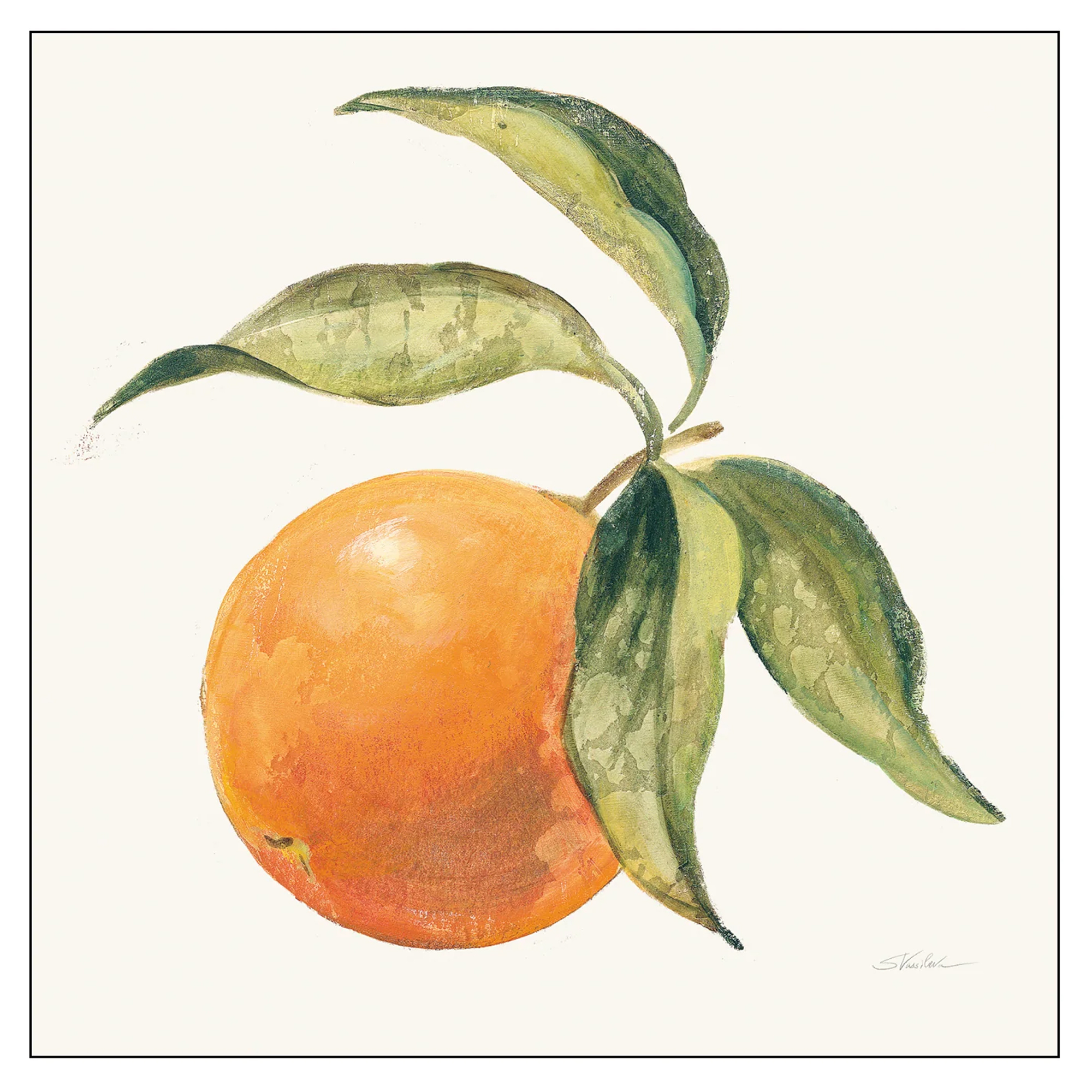 Poster Wild Apple Le Orange on Cream 100x100 cm