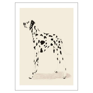 Poster <strong>Jenny Liz Rome</strong>  Dalmation 30x40 cm