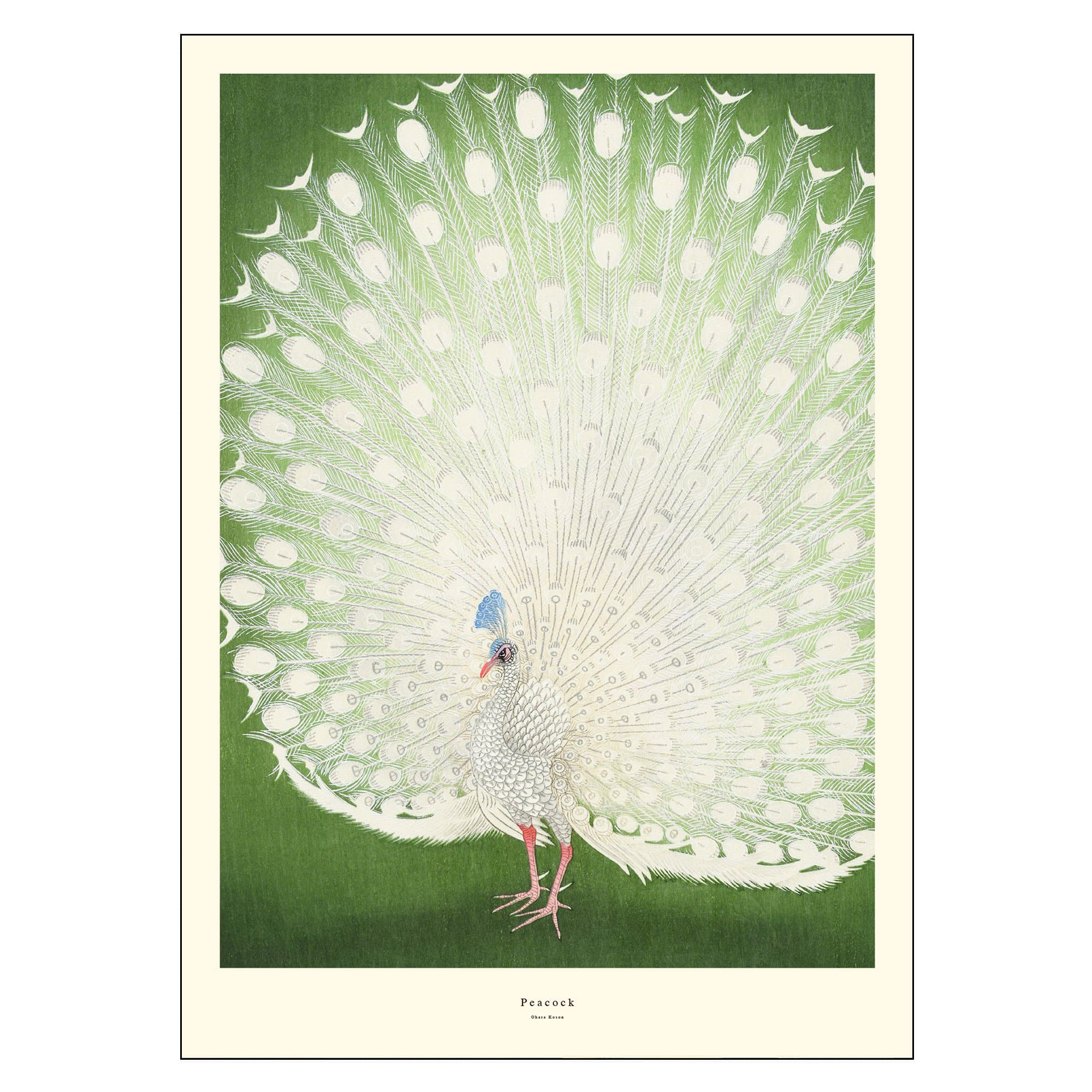 Poster A.P. Atelier Peacock 30x40 cm