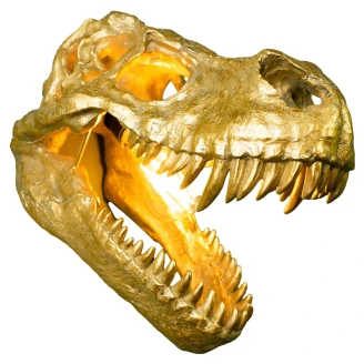 Werner Voss Vägglampa <strong>Rexy</strong>  Guld Blank