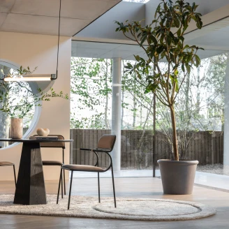 Zuiver Stol <strong>Alba Ny</strong>  Beige, Svart