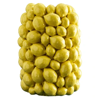 Werner Voss Vas Lemons Gul Blank