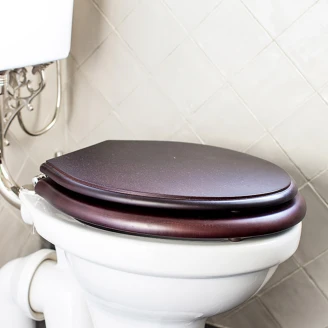 Lavatory Seat