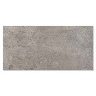 <strong>Tekno</strong>  Klinker Grå Matt 30x60 cm