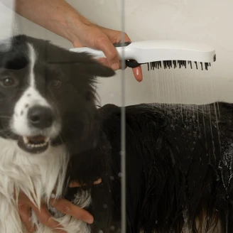 Ravak Hunddusch med Massagemunstycken