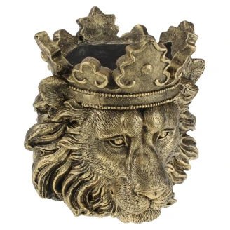 Werner Voss Blomkruka <strong>Clarence</strong>  Guld