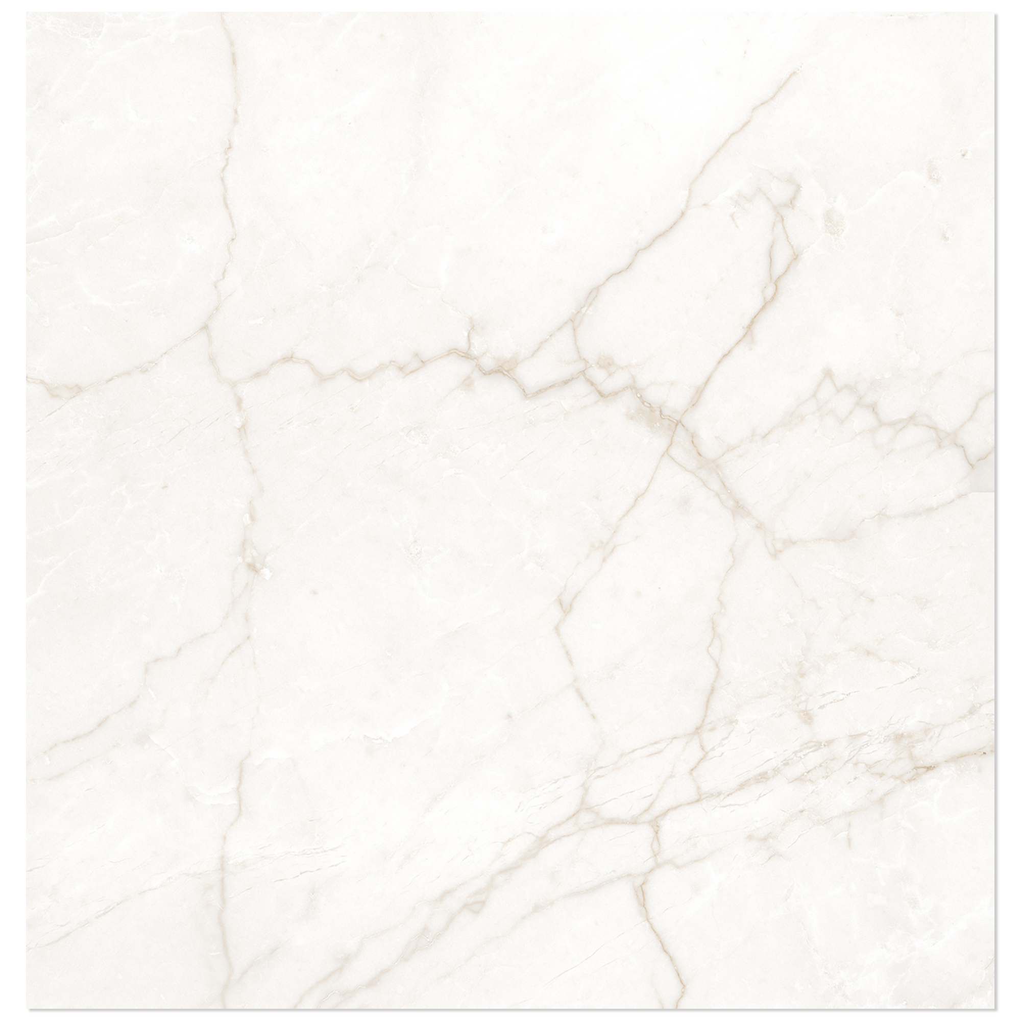 Marmor Klinker Venata Vit-Guld Matt 60x60 cm